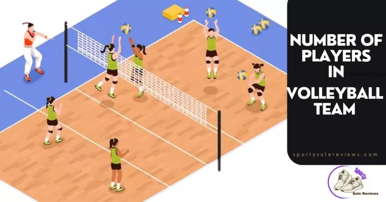 What is the Number of Players on a Volleyball Team?